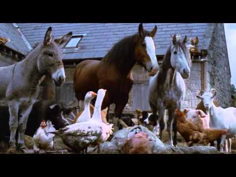 Animal Farm (1999) 